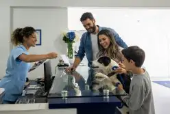 Recepção e atendimento em serviços médicos-veterinários